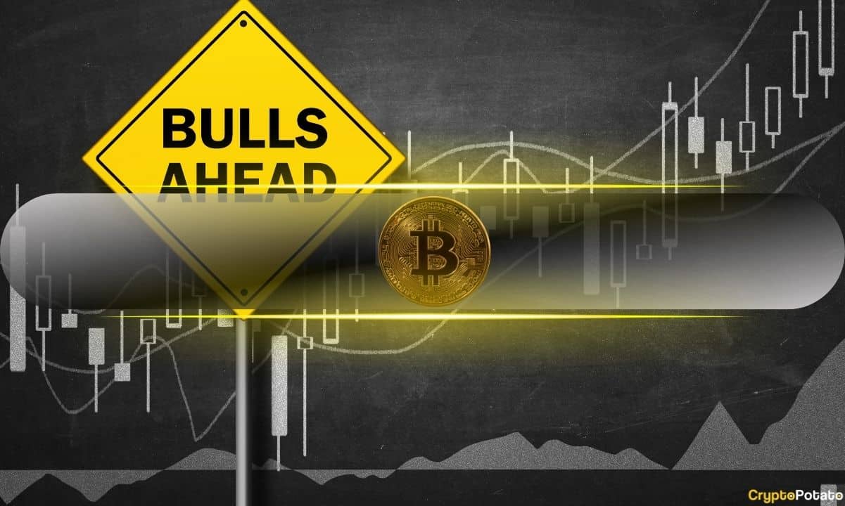 Bitcoin's 15% Correction Propelled by Profit-Taking but Bull Cycle Is Far From Over: CryptoQuant